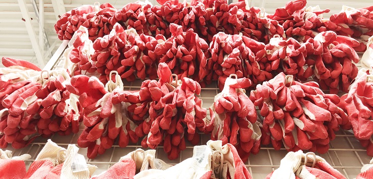 消毒效果檢測(cè)合格報(bào)告書有什么內(nèi)容?洗碗機(jī)有沒(méi)有除菌效果 