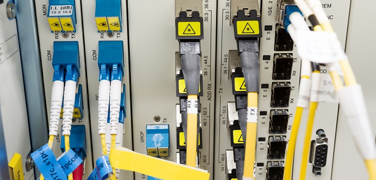 深圳大學公衛(wèi)考研公共衛(wèi)生考研報考要求?美國政府問責局報告稱「 美公共衛(wèi)生部門疫情應對存在『 持續(xù)缺陷 』」，該缺陷是什么  健明迪檢測