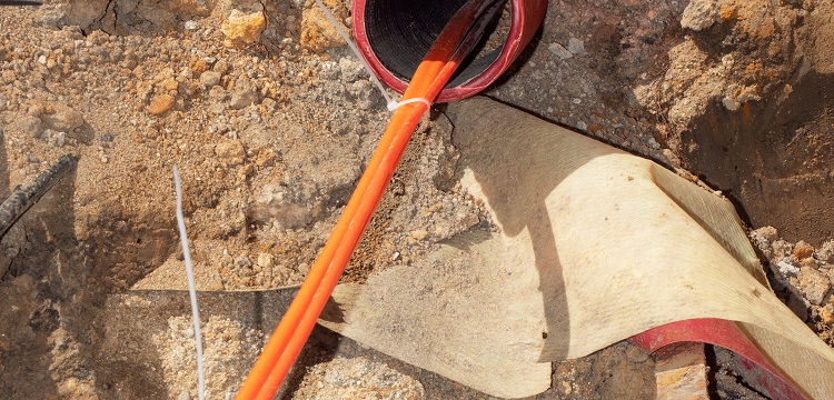 公共衛生檢測項目及標準有哪些？