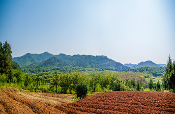 土壤常規45項檢測