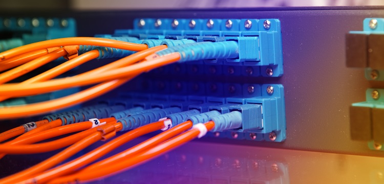 泳移性測(cè)定