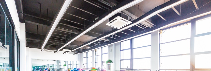 動(dòng)脈粥樣硬化家兔模型