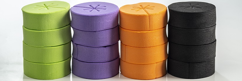 Stat5 敲除腸干細胞缺失小鼠模型