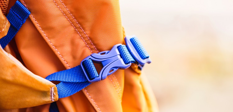 鏈脲佐菌素誘導(dǎo)的1型糖尿病大鼠