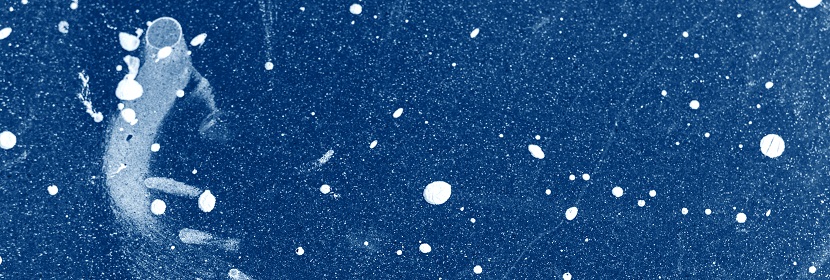 氣管滴注細(xì)顆粒物加重小鼠心肌缺血模型