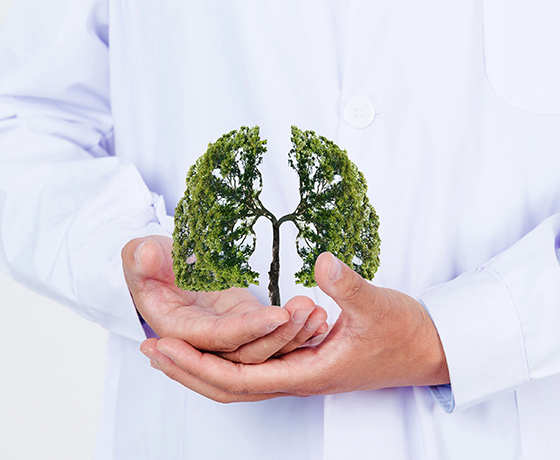 鎳鈦合金檢測(cè)