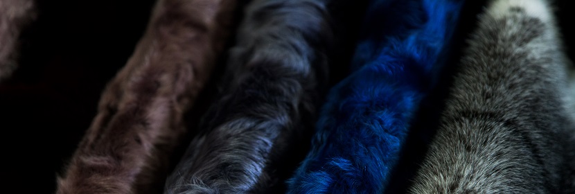 18種氨基酸檢測