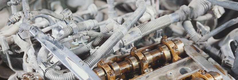 細(xì)胞溶液檢測(cè)