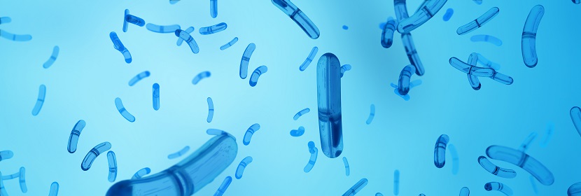 細(xì)菌回復(fù)突變試驗