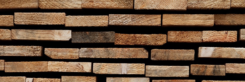 實時熒光定量QPCR實驗