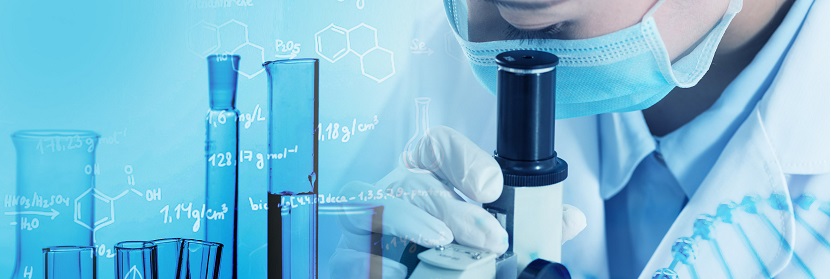 勞保鞋檢測(cè)