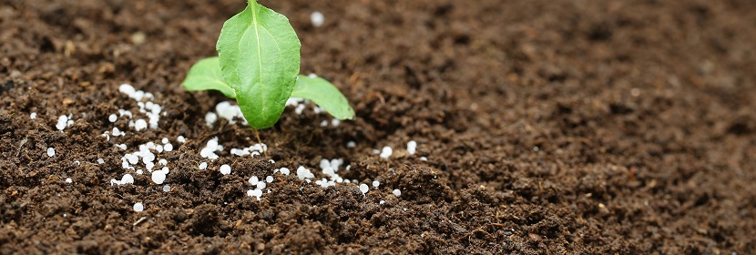 含氨基酸水溶肥料(微量元素型)檢測