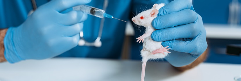 普通物體表面消毒劑一次完整皮膚刺激試驗(yàn)