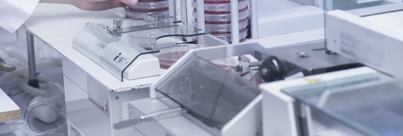 洗滌消殺產(chǎn)品L5178Y細(xì)胞基因突變?cè)囼?yàn)