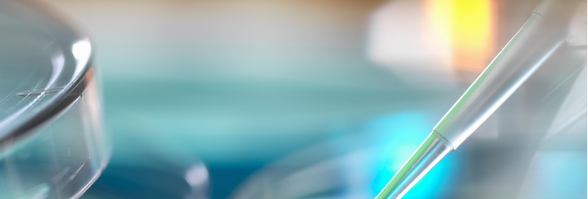 膠粘劑正己烷檢測