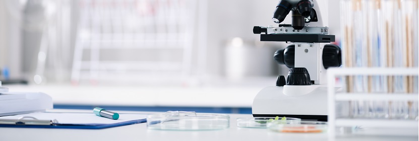 食品包裝聚氯乙烯膜檢測