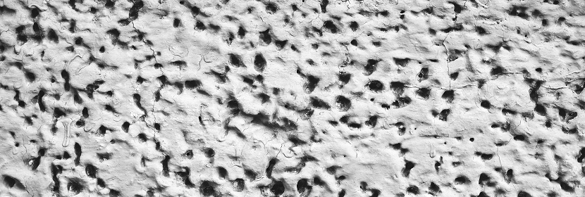 有序介孔二氧化硅檢測